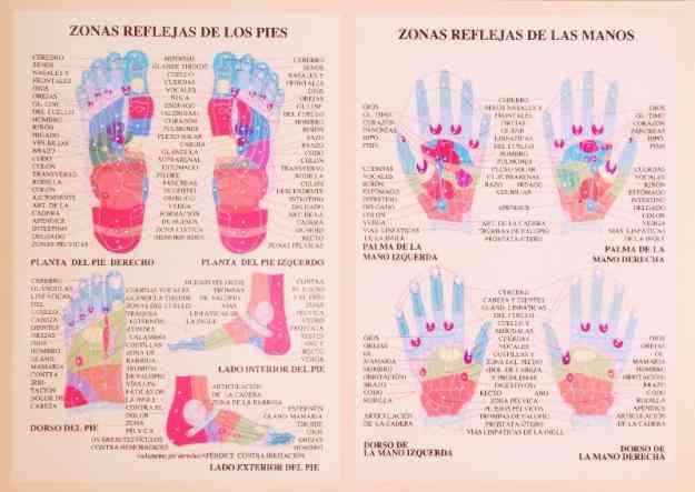 LAMINA DE REFLEXOLOGIA DE MANOS Y PIES - Montevideo - Salud - Belleza